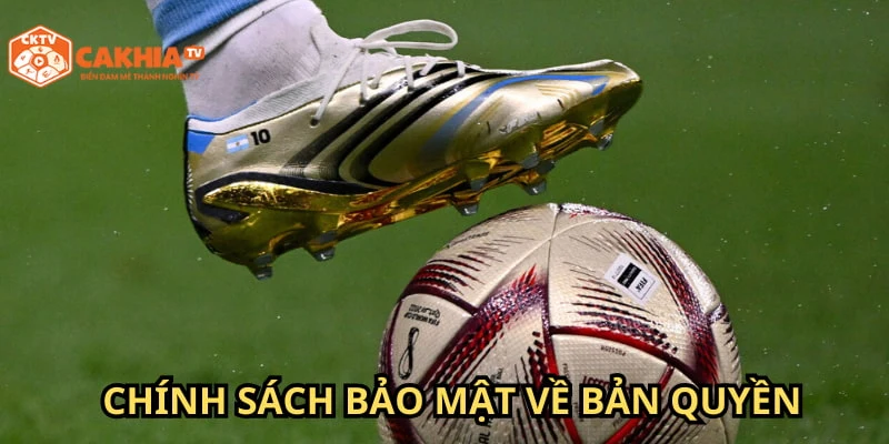 Chính sách bảo mật của Cakhia về bản quyền bạn cần nắm được